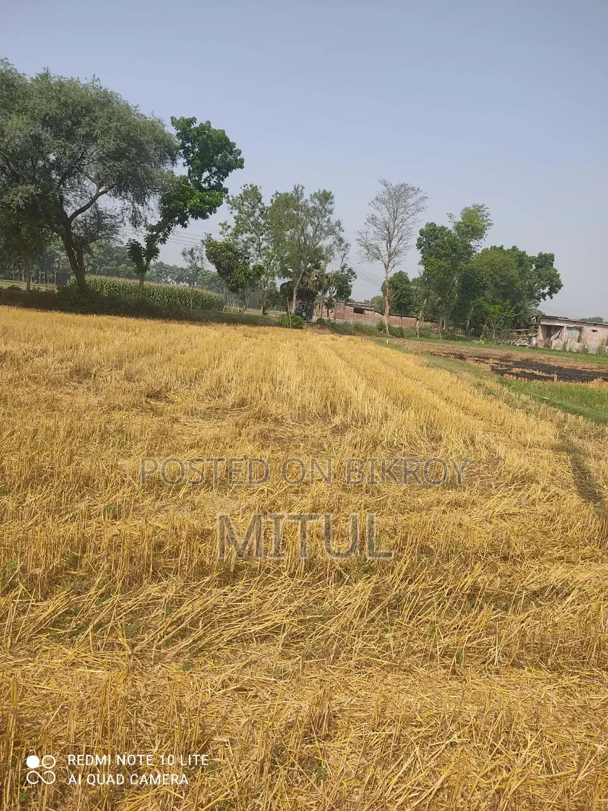 Land for Sale Jomi Rajshahi in Paba