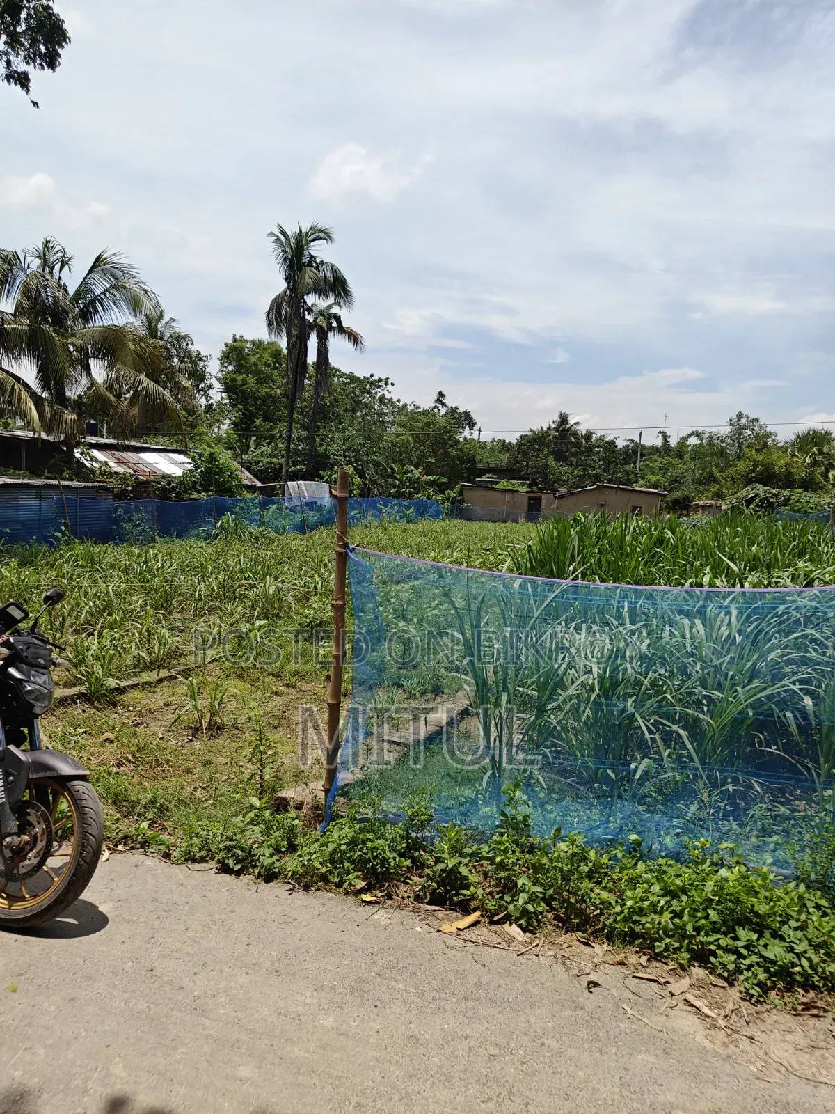 Land for Sale Jomi Rajshahi in Paba