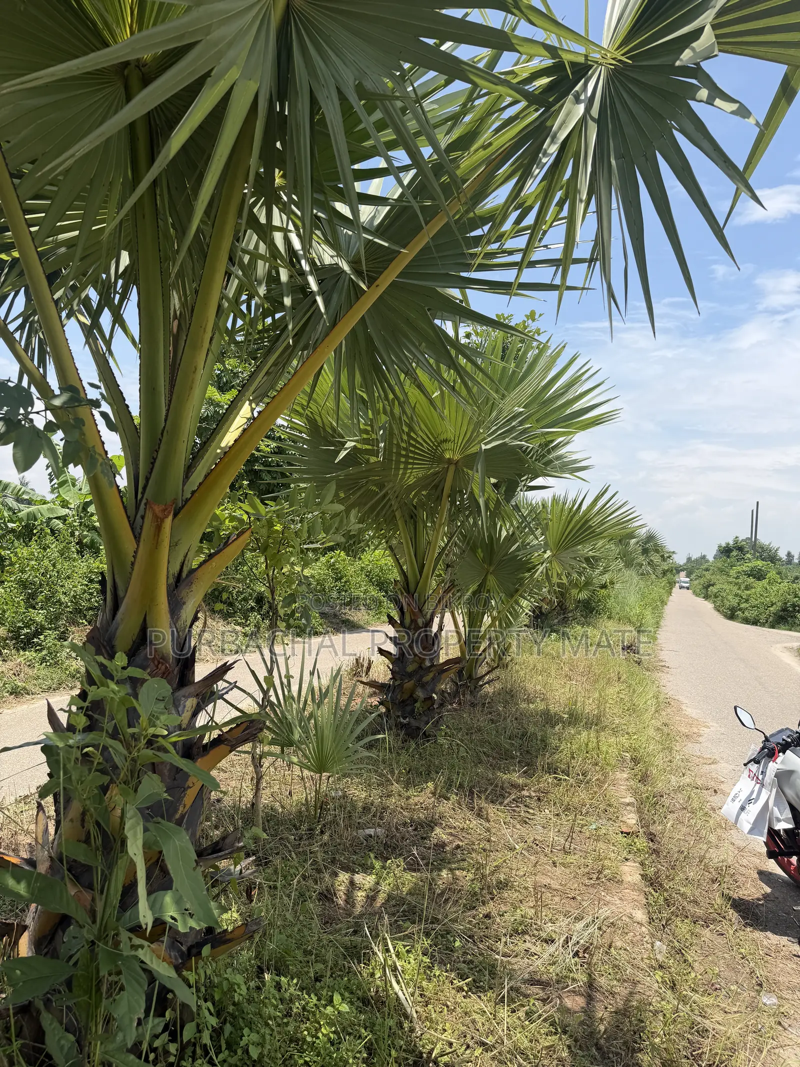 6 Katha South-facing plot for sale near Purbachal 300 feet, 75 feet road. in Purbachal
