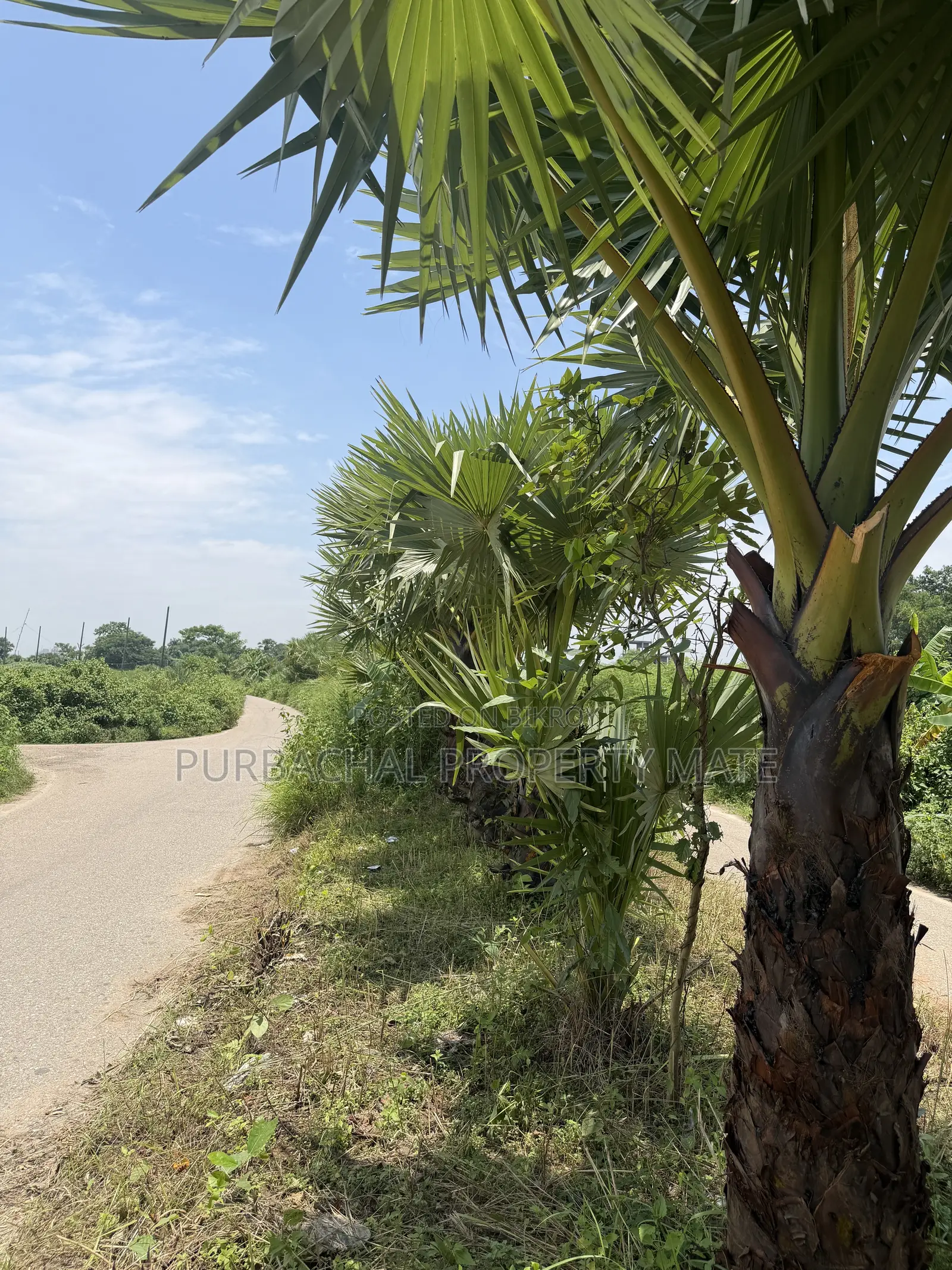 6 Katha South-facing plot for sale near Purbachal 300 feet, 75 feet road. in Purbachal