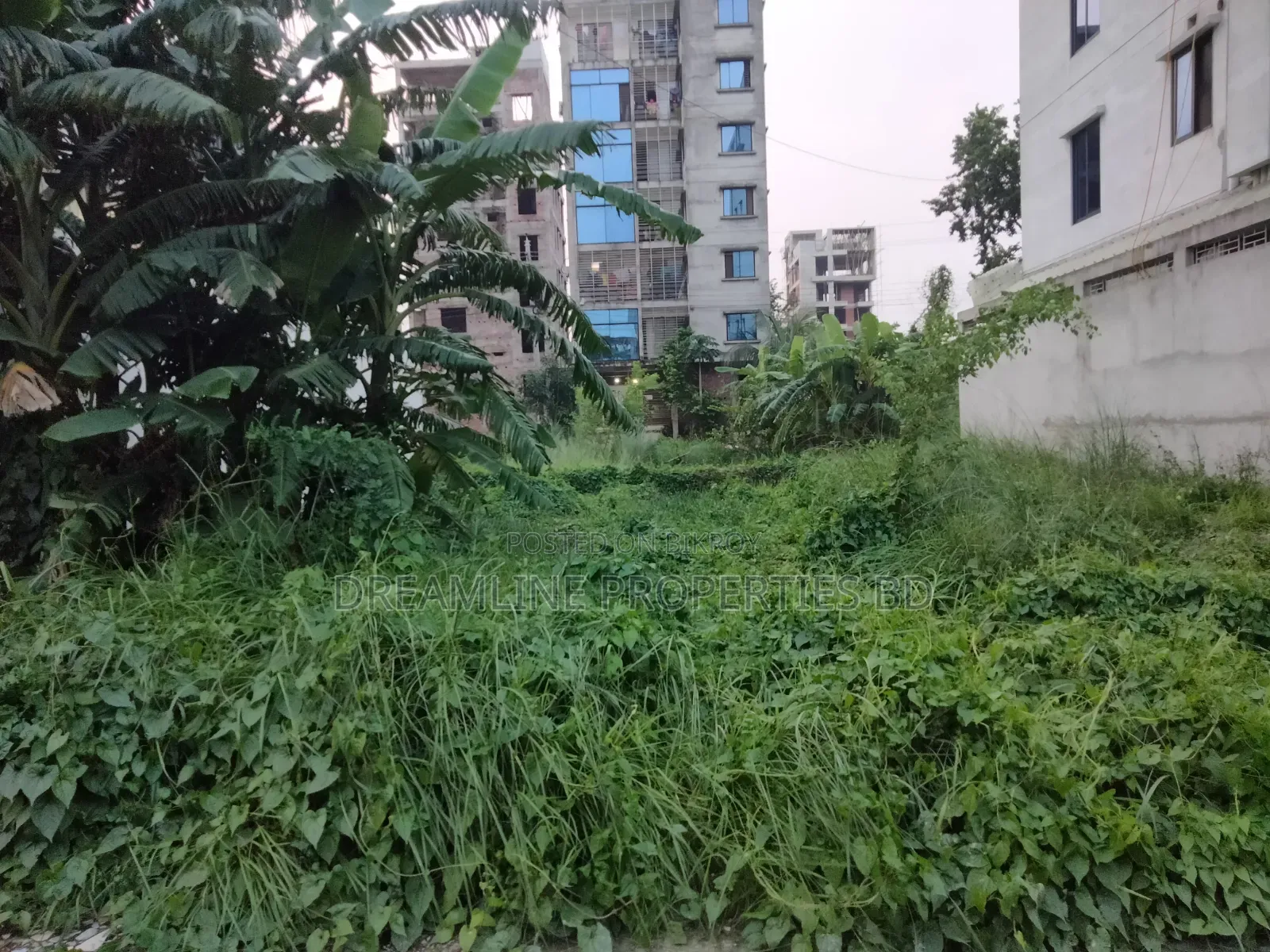 K-Block 3 Katha Plot Urgent Sell in Bashundhara R/A in Basundhara