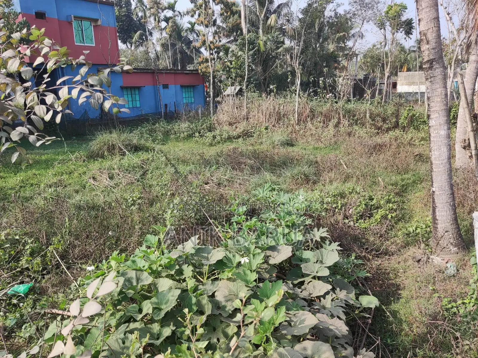 8.5 Decimal Corner Plot Near Khulna Zero Point | 30ft Paved Road in Zero Point