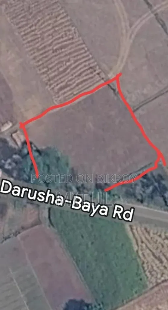 Land 9km from Railgate, beside Pakuria Bridge road in Rajshahi