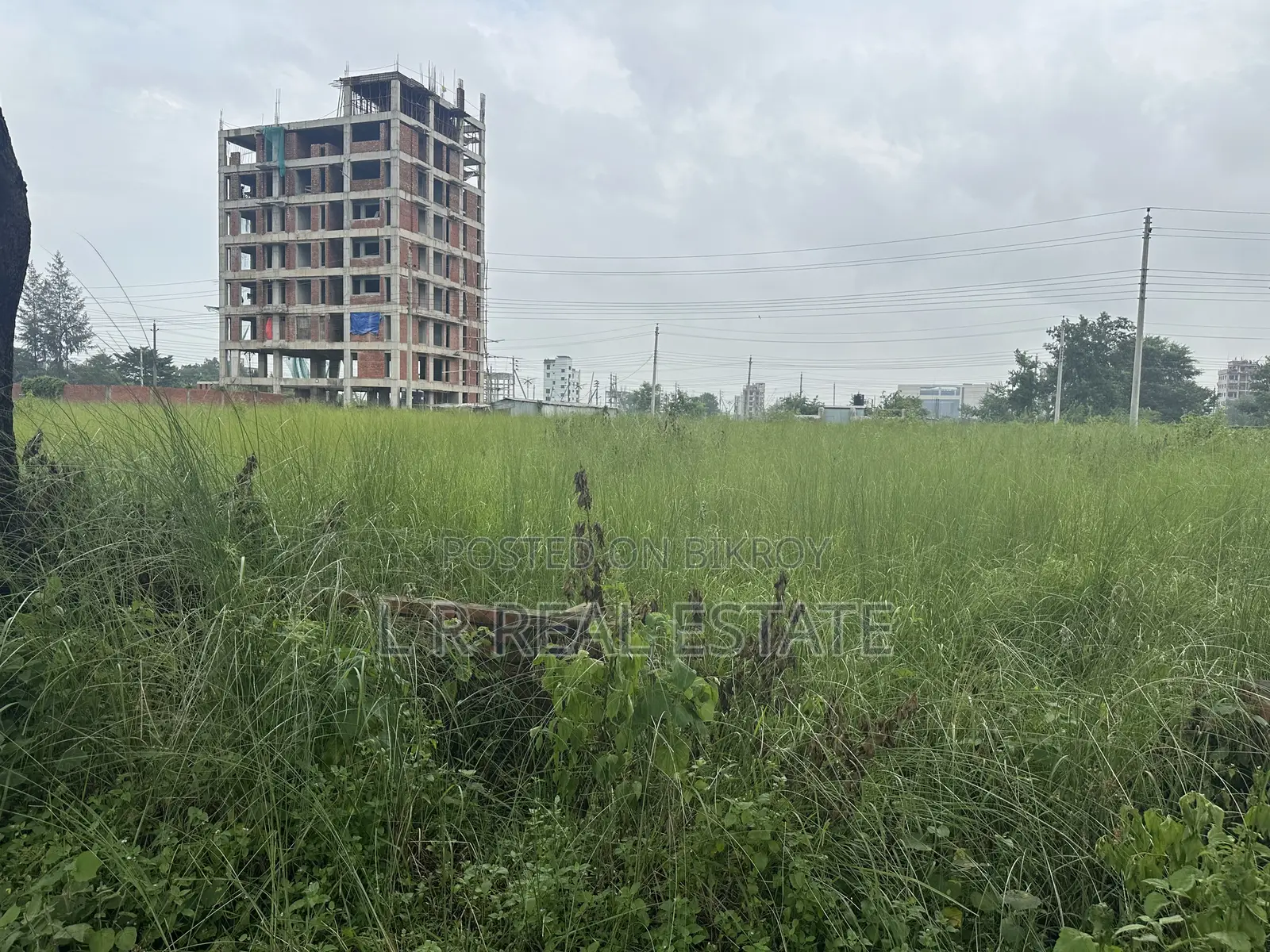 Block-N, 3 Katha, 3600 Serial, Urgent Sell Bashundhara R/A in Basundhara