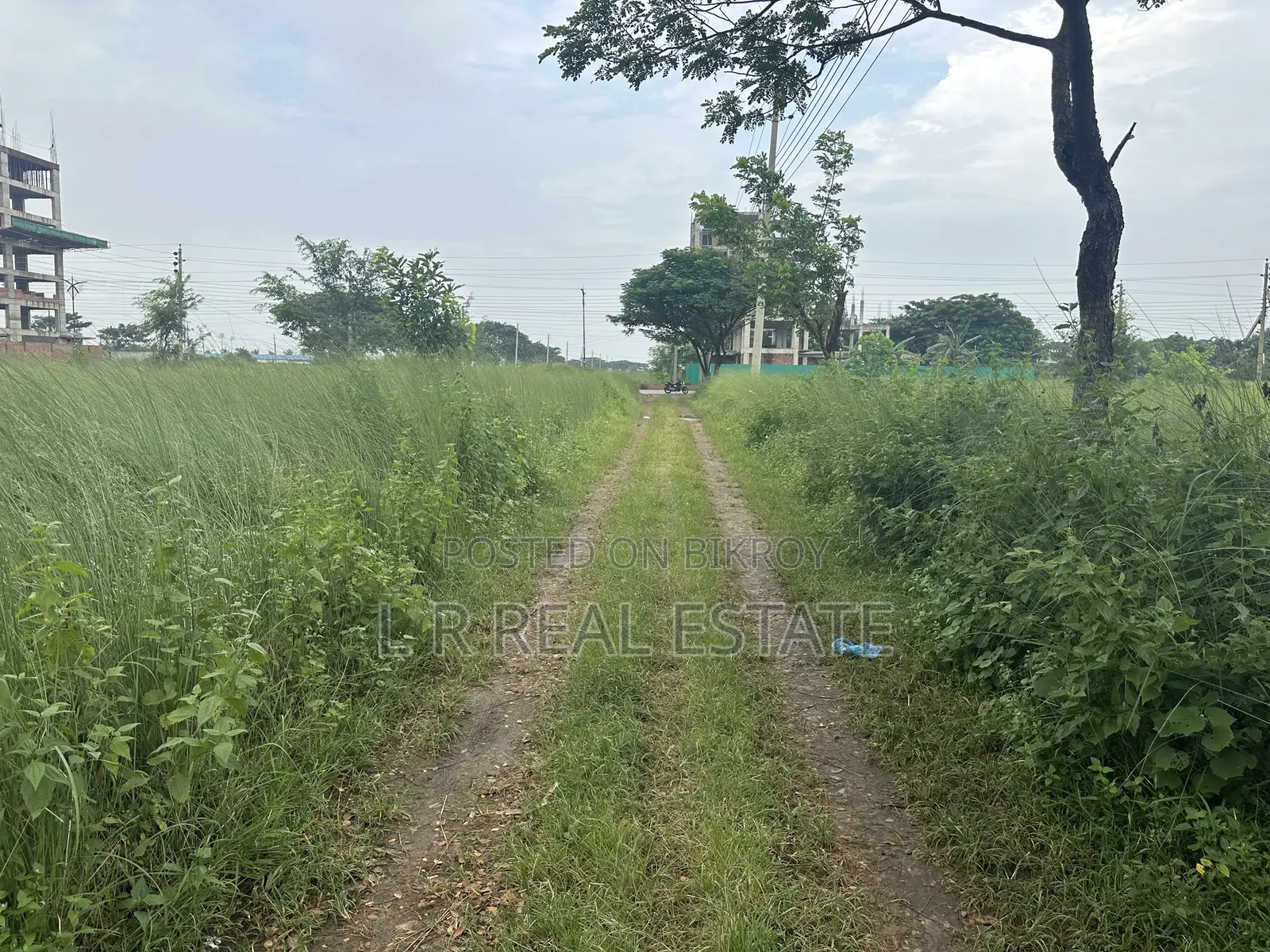Block-N, 3 Katha, 3600 Serial, Urgent Sell Bashundhara R/A in Basundhara