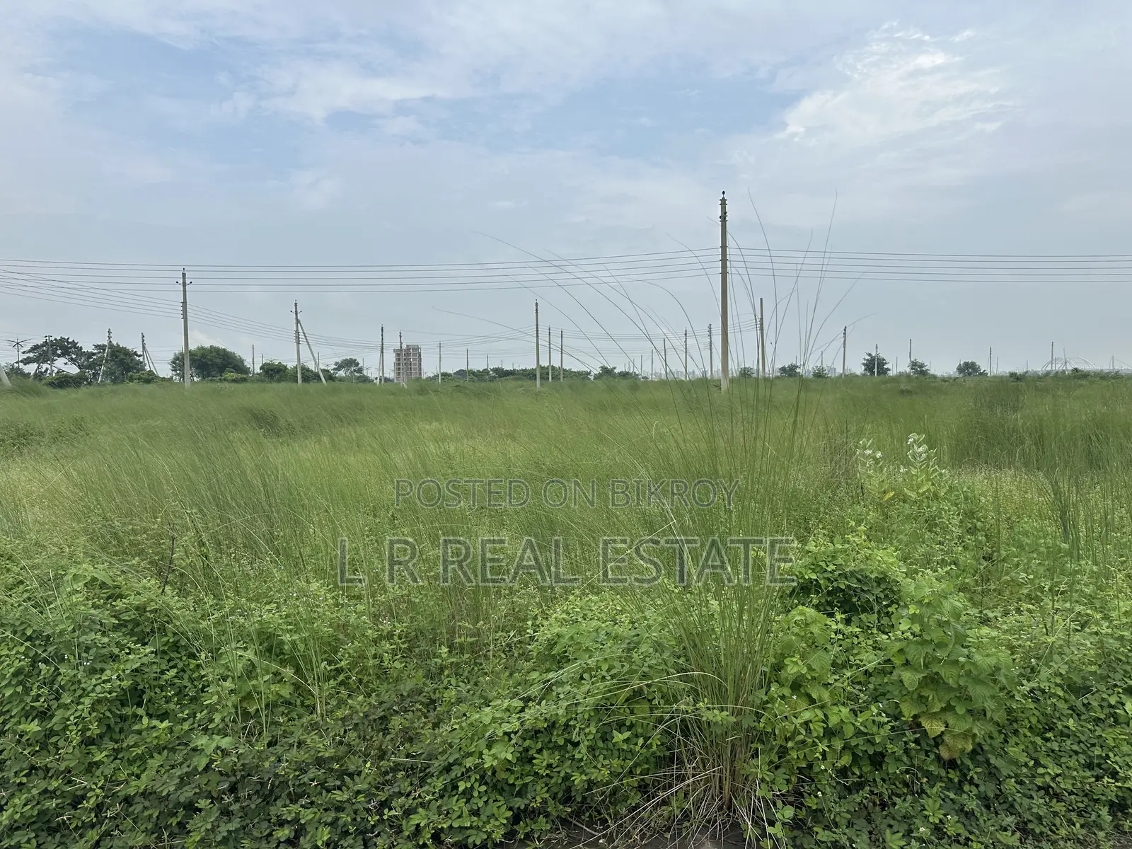 N-Block, 3 Katha, East Face, Near Bazar Protidin, Bashundhara in Basundhara