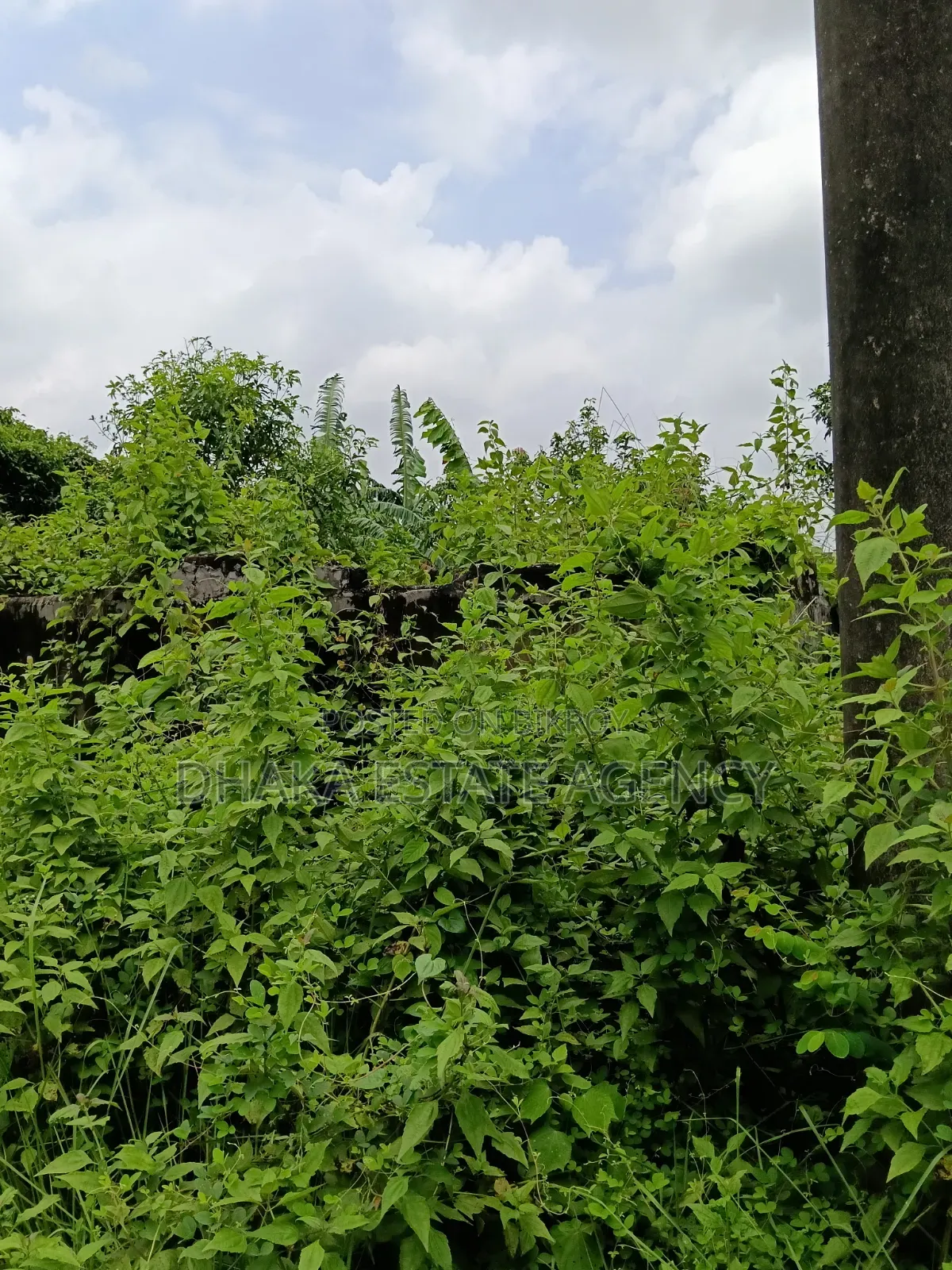 Very Urgent Sector-, 3 Katha Plot Sale in Uttara