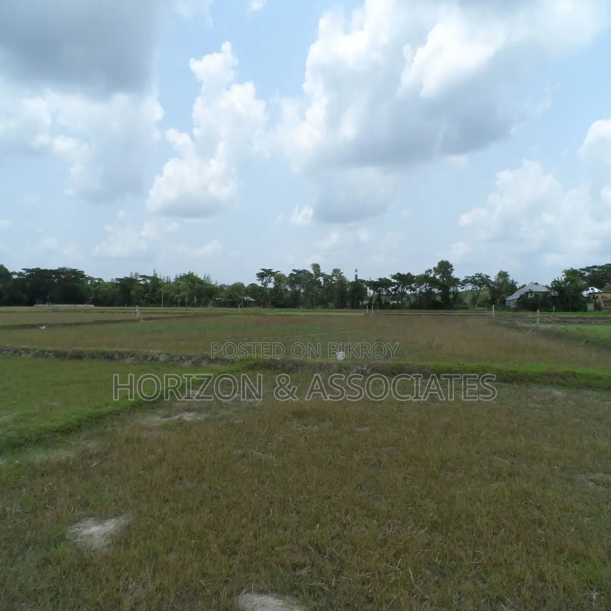 275 decimal land for sale in Noakhali Maizdee Road in Noakhali Sadar