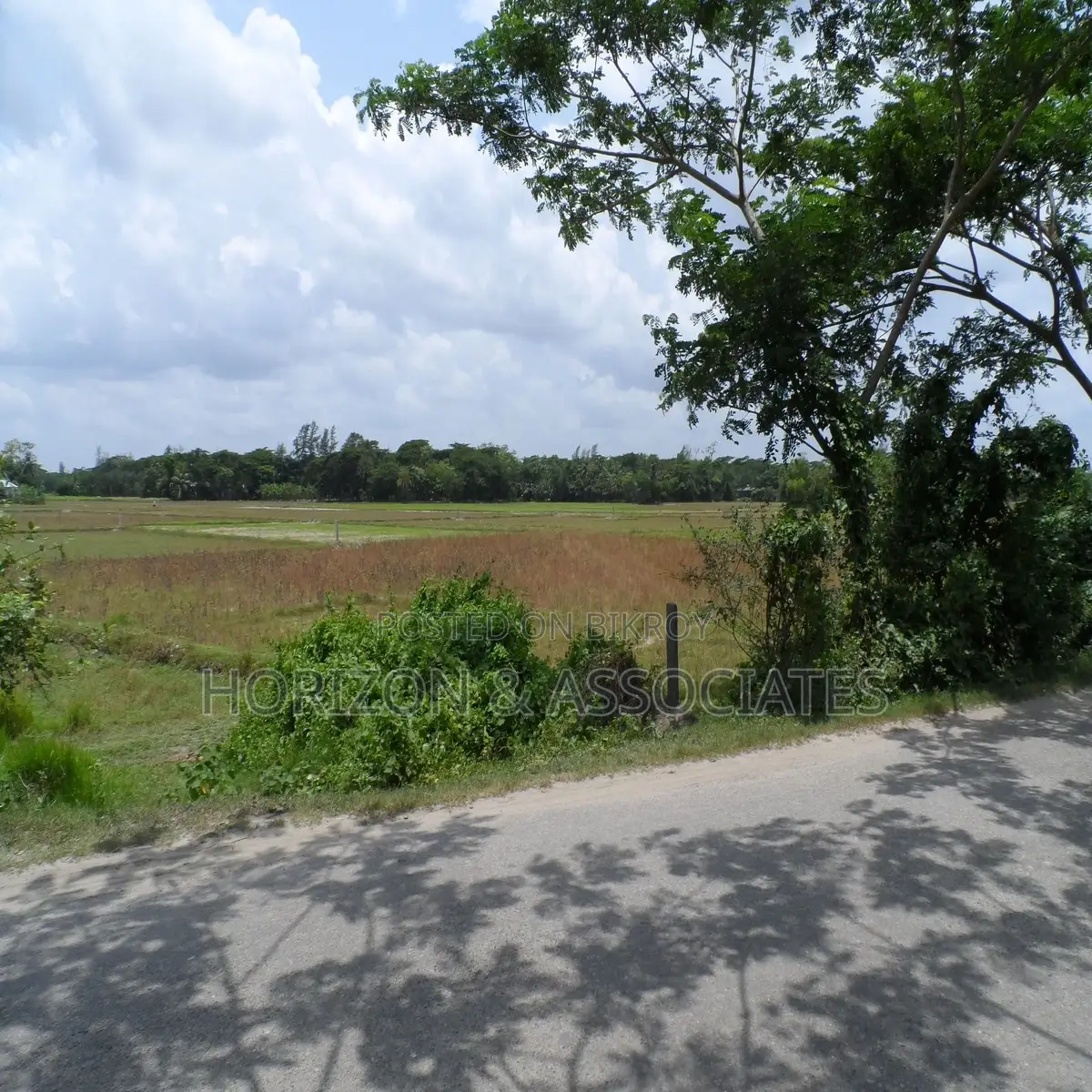 275 decimal land for sale in Noakhali Maizdee Road in Noakhali Sadar