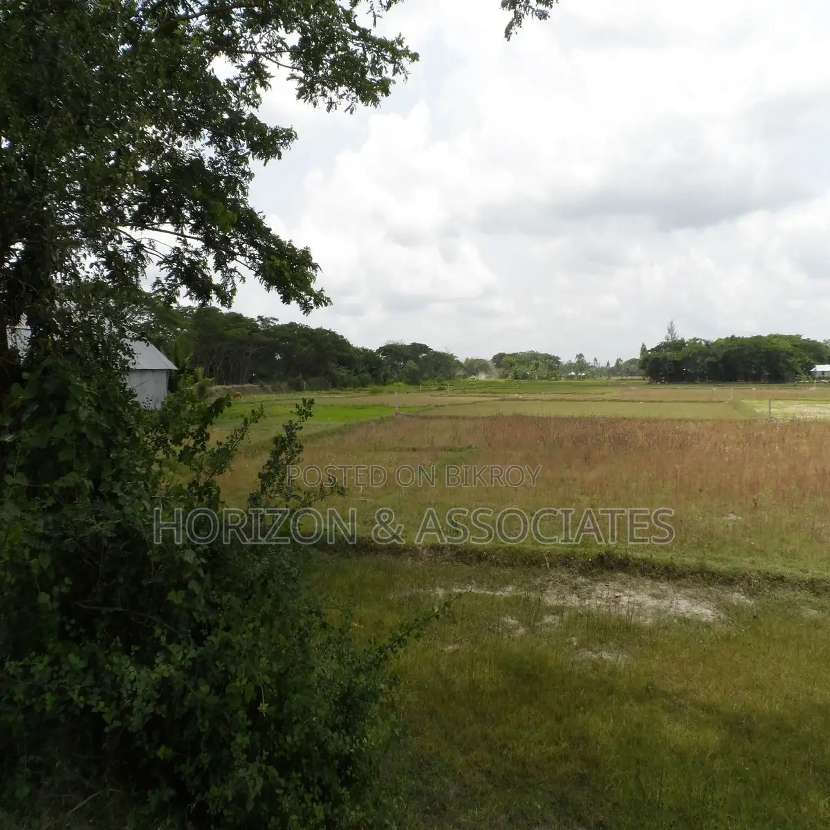 275 decimal land for sale in Noakhali Maizdee Road in Noakhali Sadar