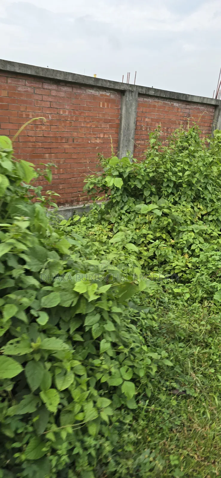Purbachal Rajuk 3 Katha South Facing Plot Sell in Purbachal