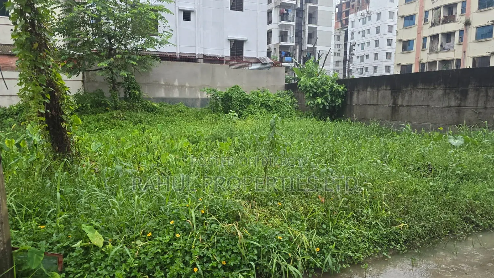 Land for Sale in Block-G ( Bashundhara R/a ) in Basundhara