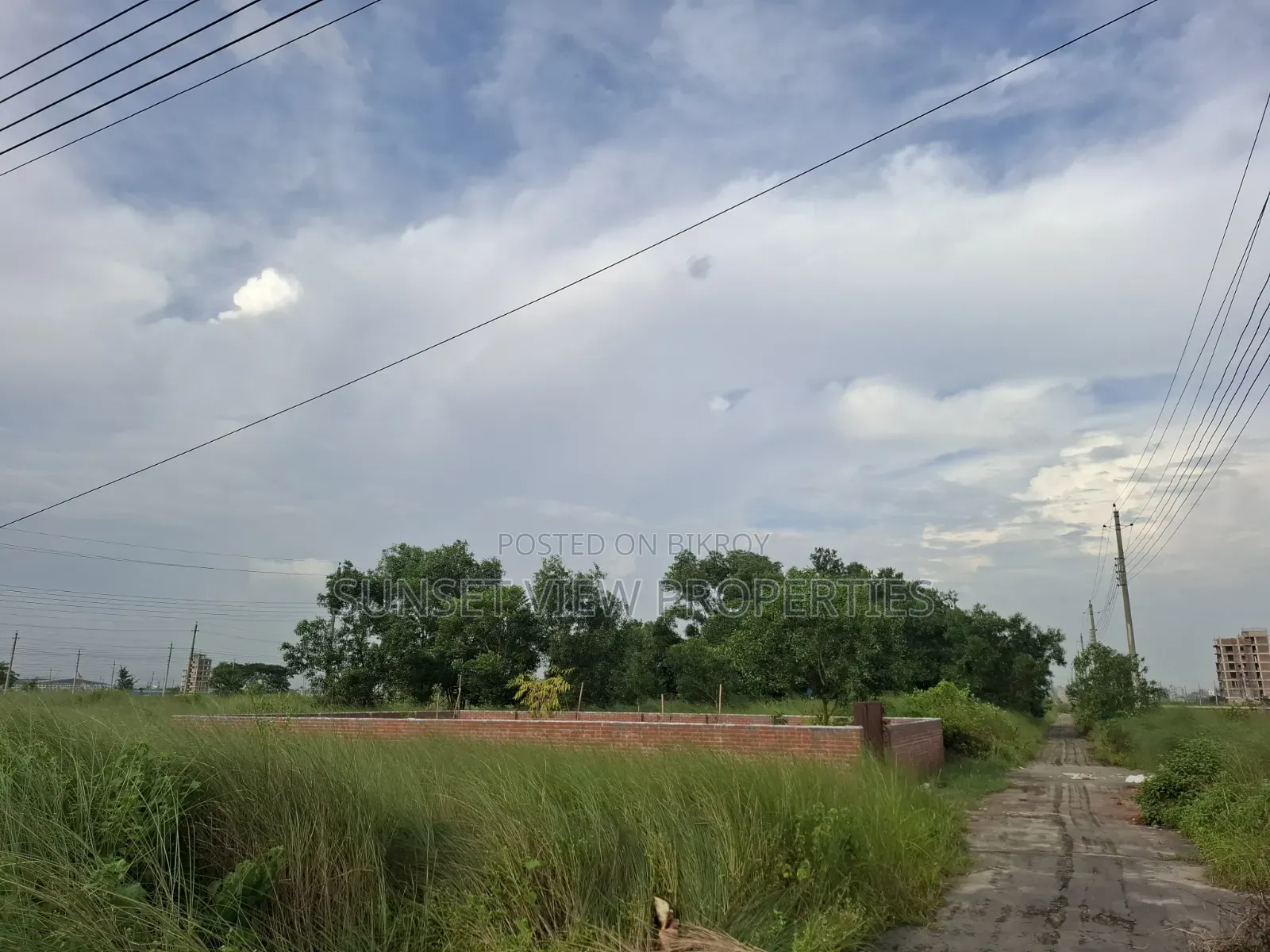 Block-P | North Face | Ready Plot Urgent Sale in Basundhara