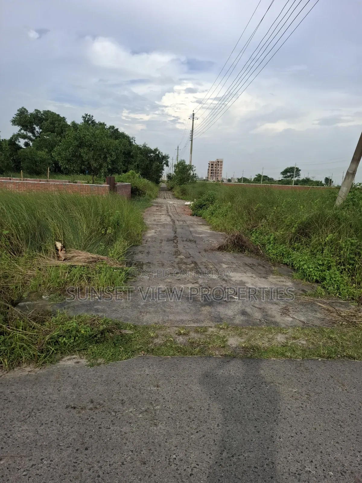 Block-P | North Face | Ready Plot Urgent Sale in Basundhara