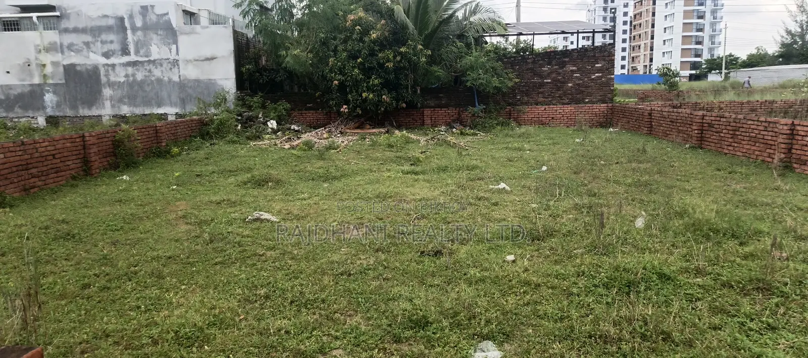 M Block 5 Katha Plot for Sale in Bashundhara R/A, Baridhara. in Basundhara