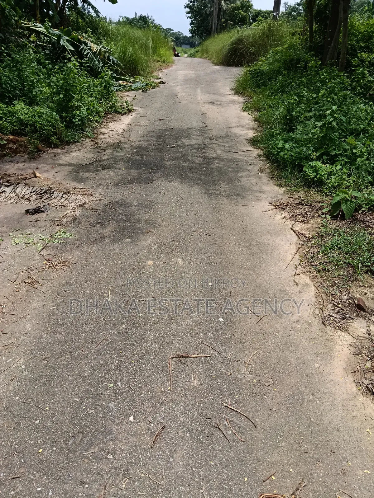 Sale of 75 Katha of Land in Front of River and 30 Road in Purbachal