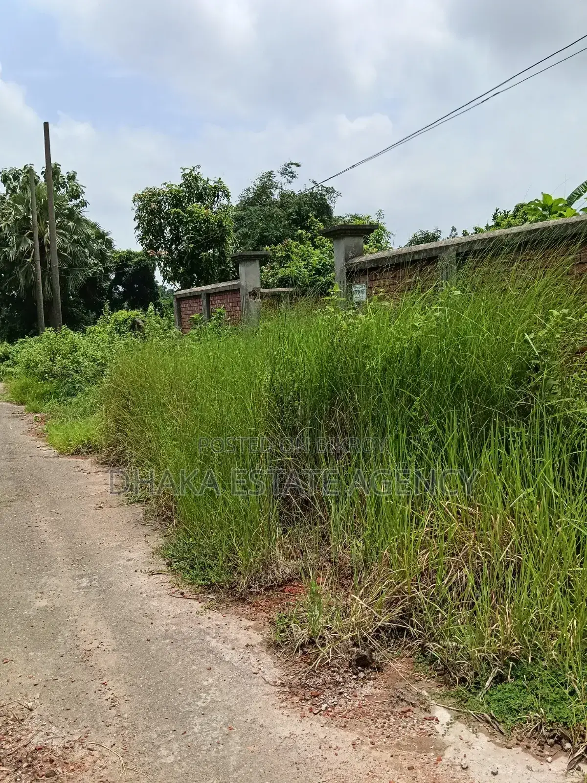 Urgent South Facing 5 Katha Plot in Sector 16A in Uttara