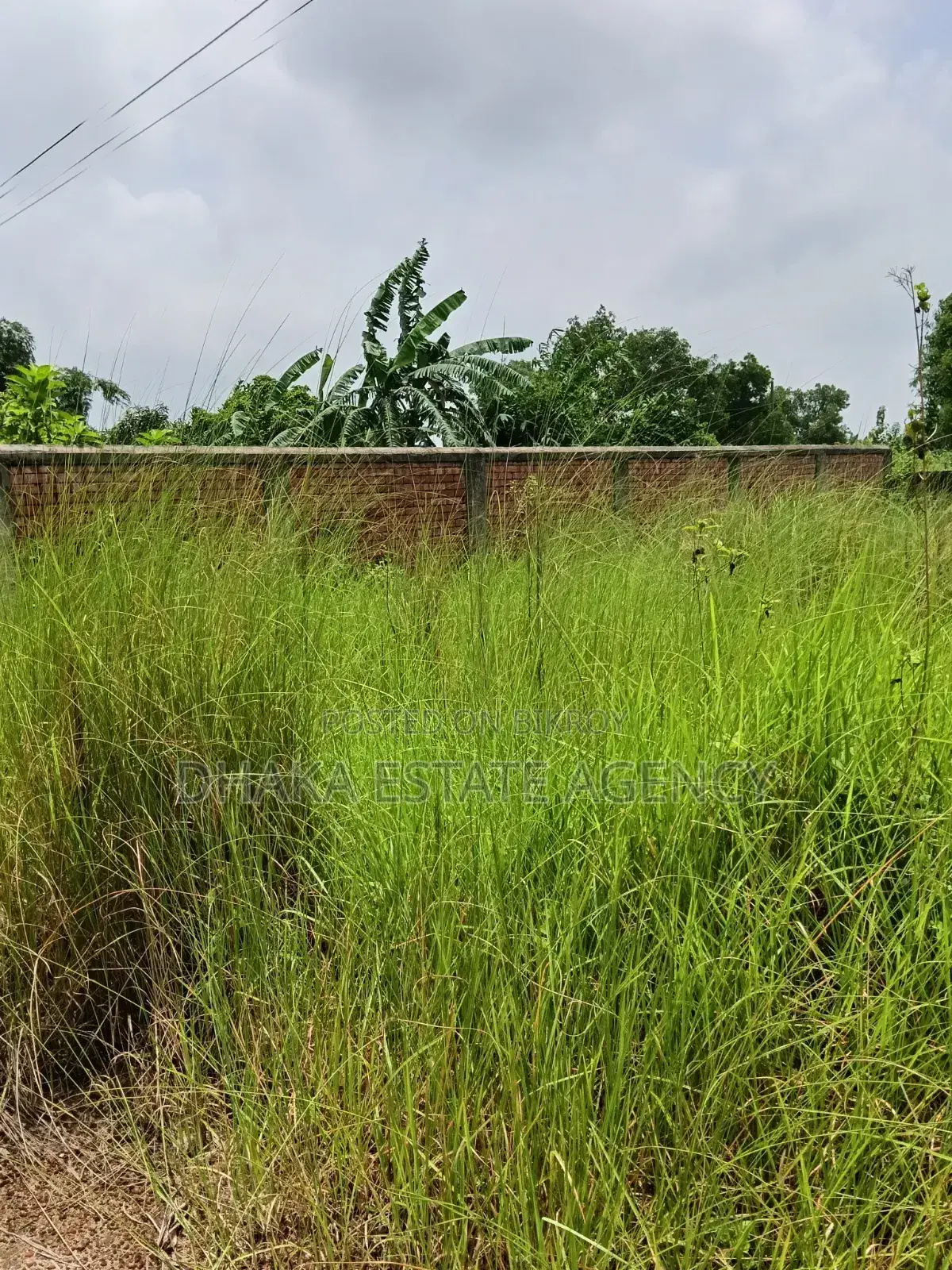 Urgent South Facing 5 Katha Plot in Sector 16A in Uttara