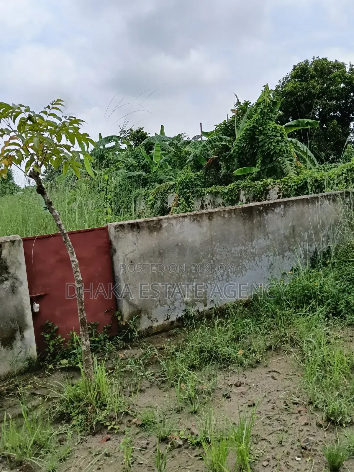 Block-N, Found Site 60 Feet Road 5 Katha Plot Sale in Basundhara