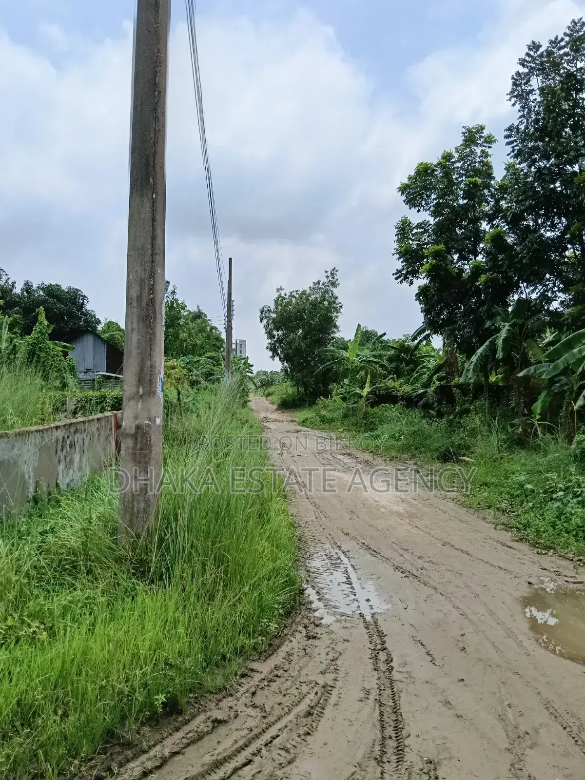 Urgent South Facing 5 Katha Sector-16A in Uttara