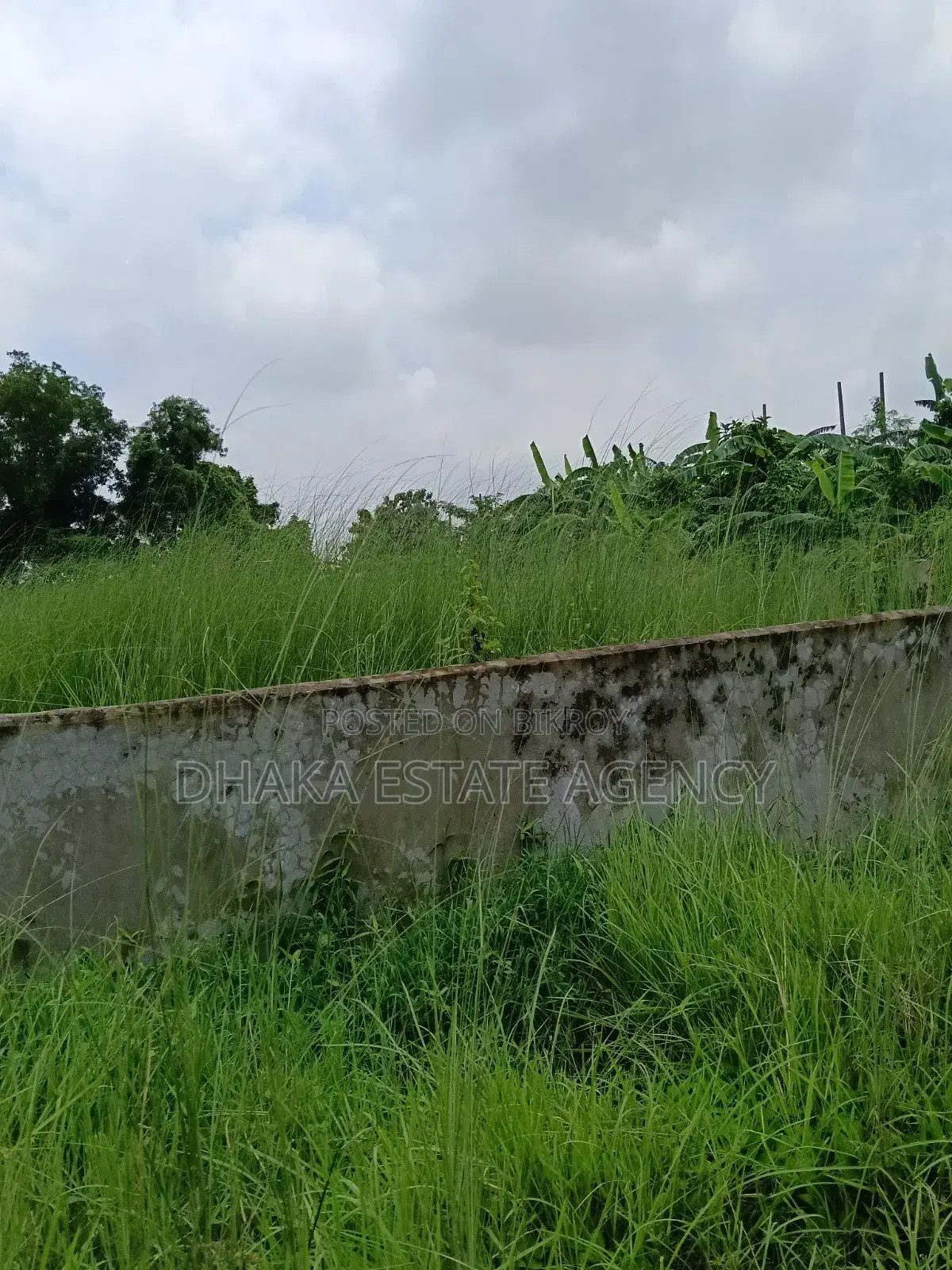 Urgent South Facing 5 Katha Sector-16A in Uttara