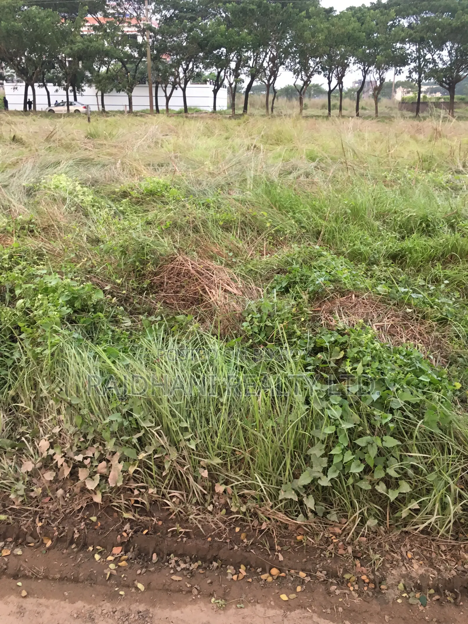 M-Block, 5 Katha Plot for Sale in Bashundhara in Basundhara