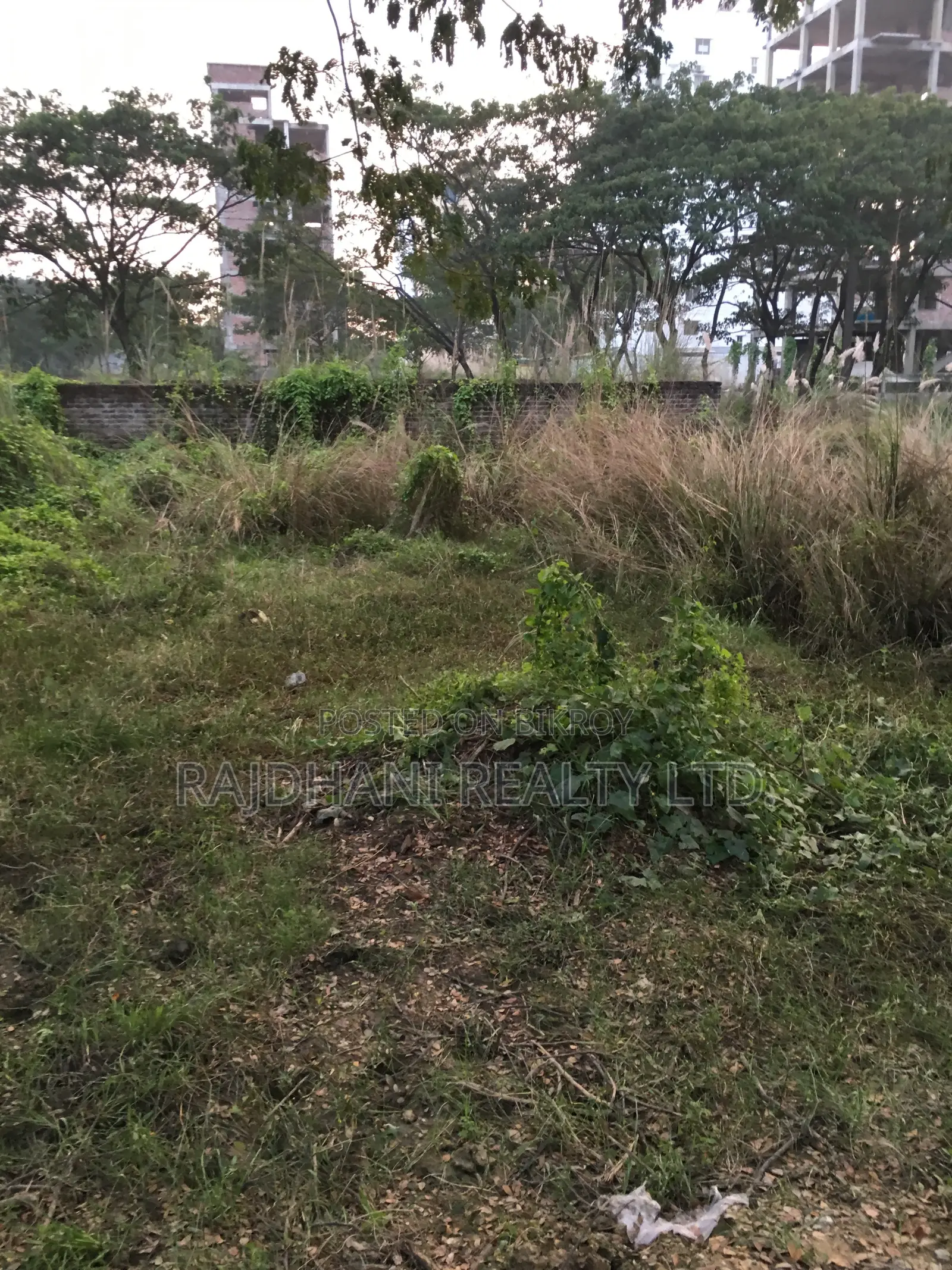 M-Block, 5 Katha Plot for Sale in Bashundhara in Basundhara
