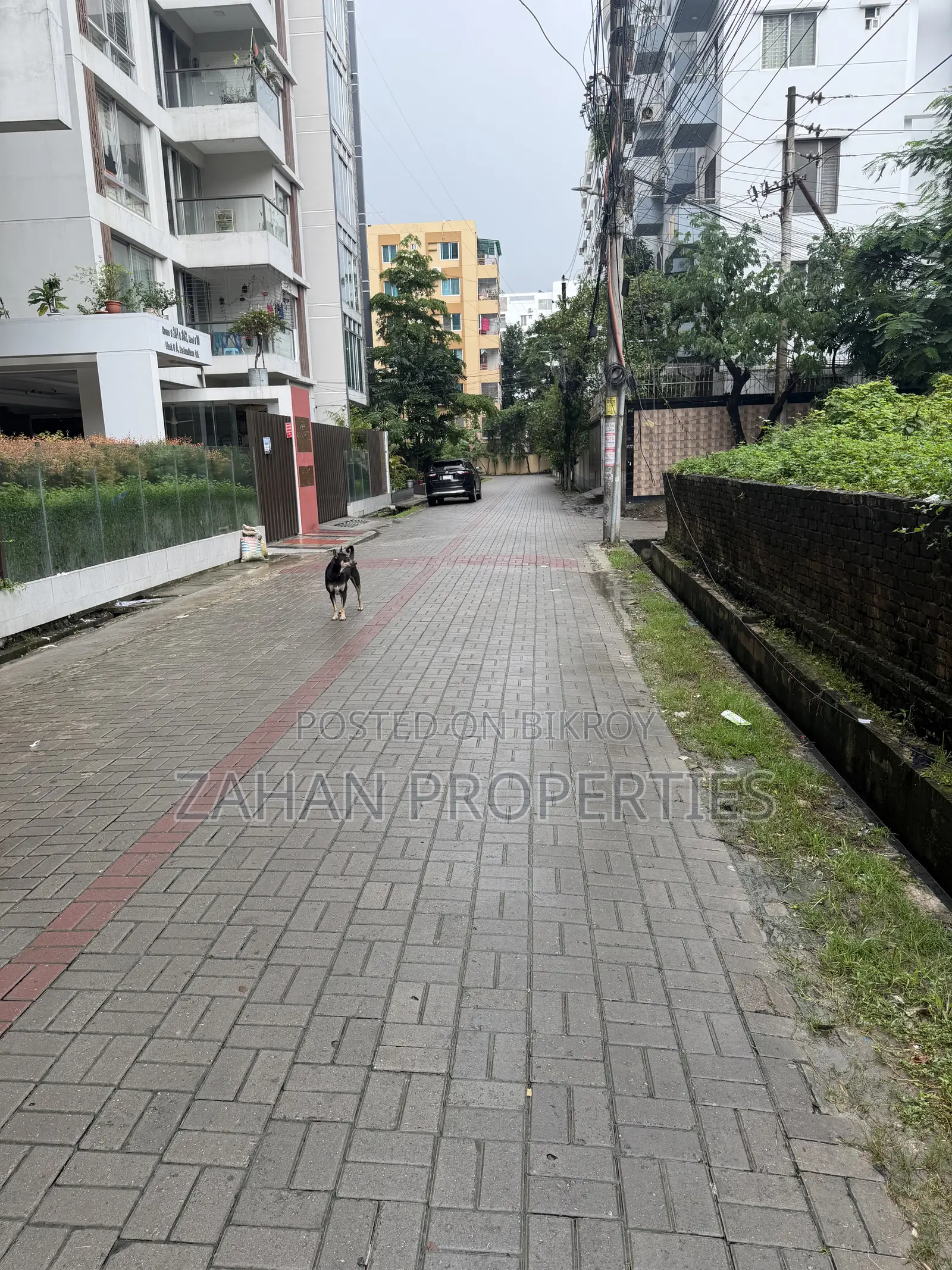 Bashundhara A Block Corner 10 Katha Plot Sale in Basundhara
