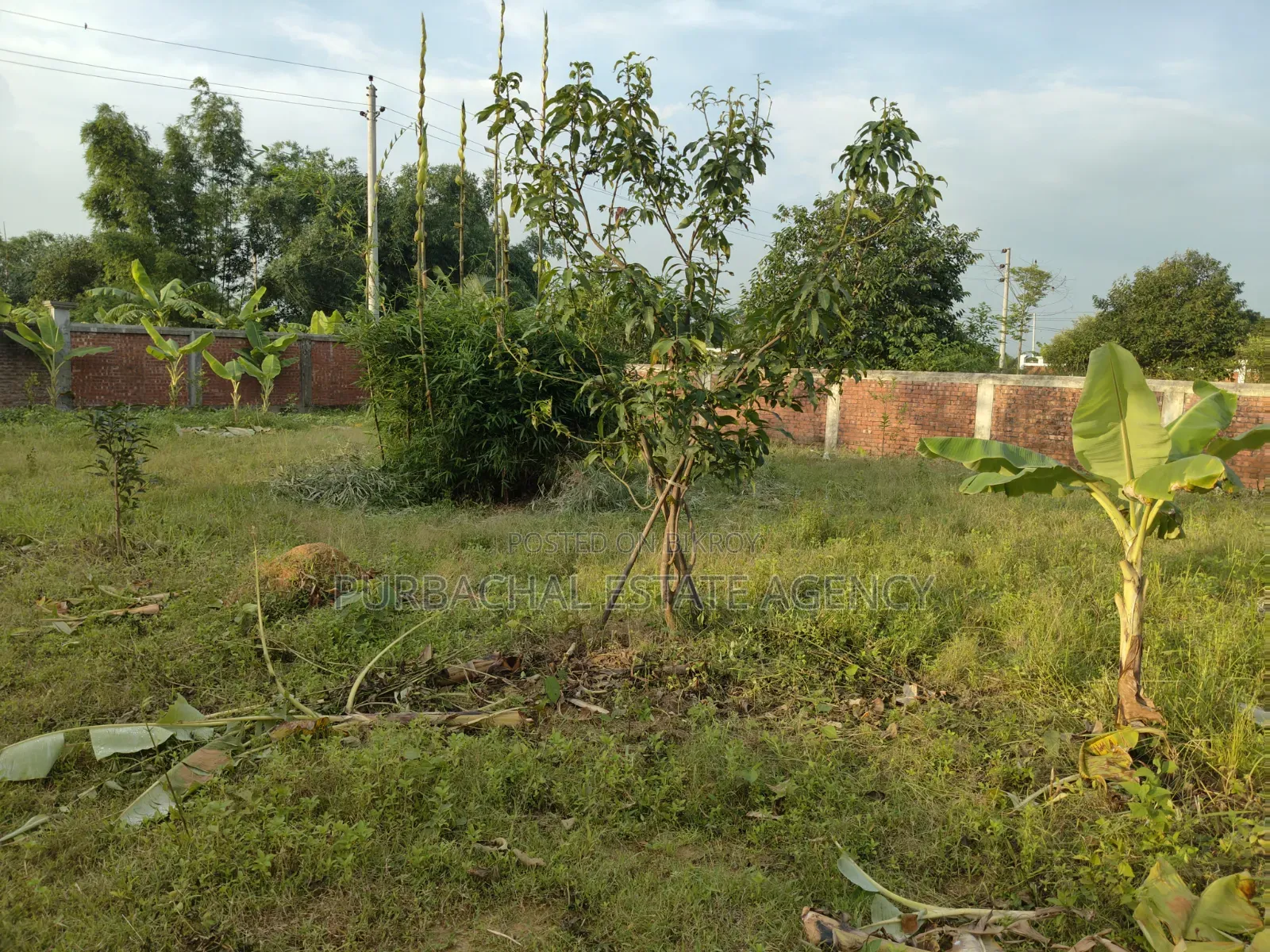 10 Katha Lake & Park View Plot, RAJUK Purbachal Sector 24 in Purbachal