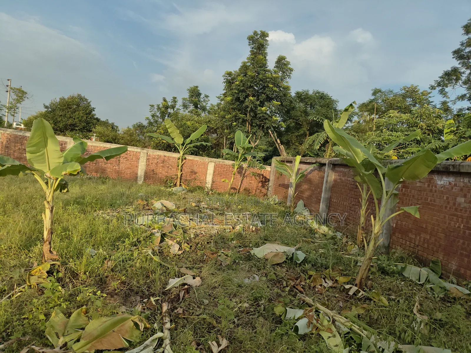 10 Katha Lake & Park View Plot, RAJUK Purbachal Sector 24 in Purbachal
