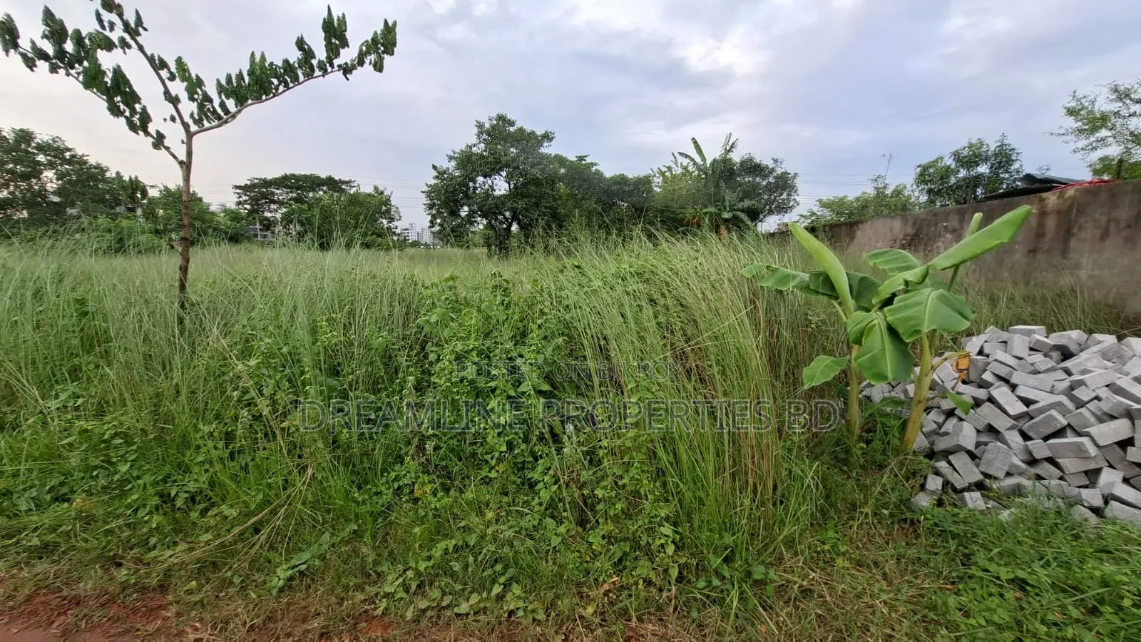 M-Block 5 Katha South Facing Plot for Sale Bashundhara R/A in Basundhara