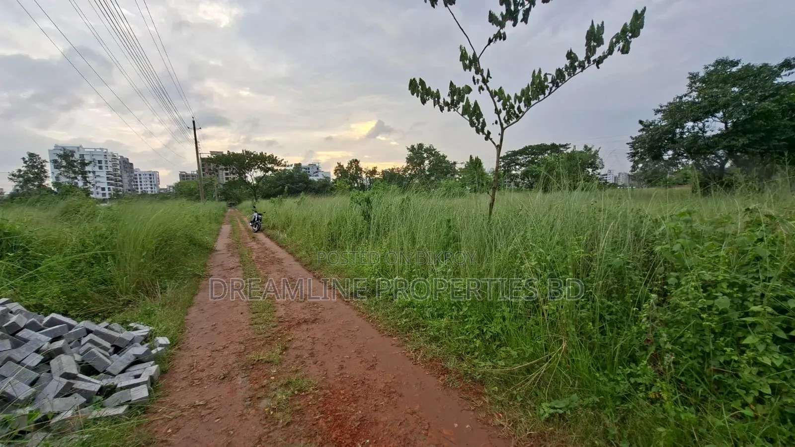 M-Block 5 Katha South Facing Plot for Sale Bashundhara R/A in Basundhara