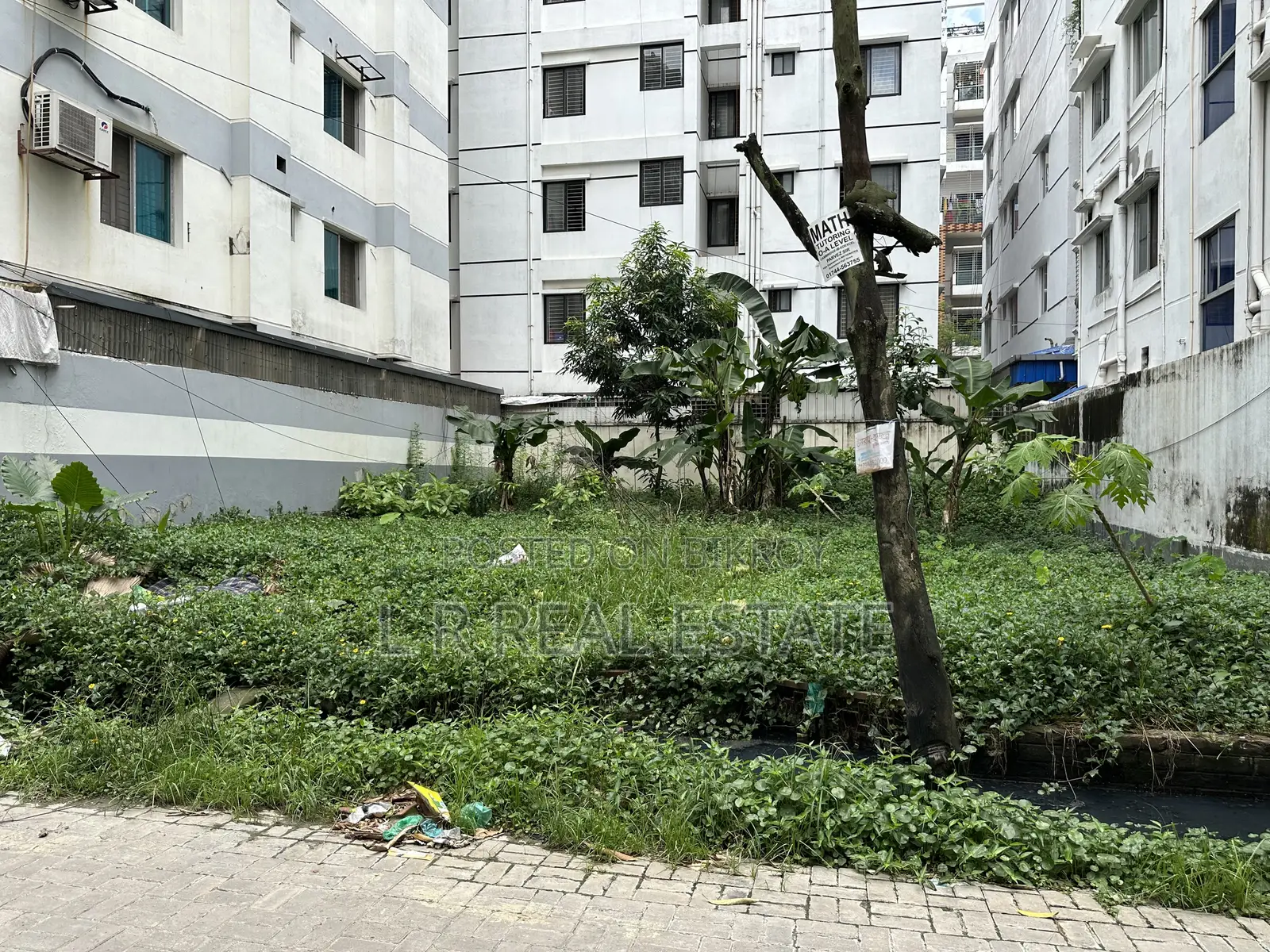 Block-G,3-Katha,South-Face, Bashundhara R/A, in Basundhara
