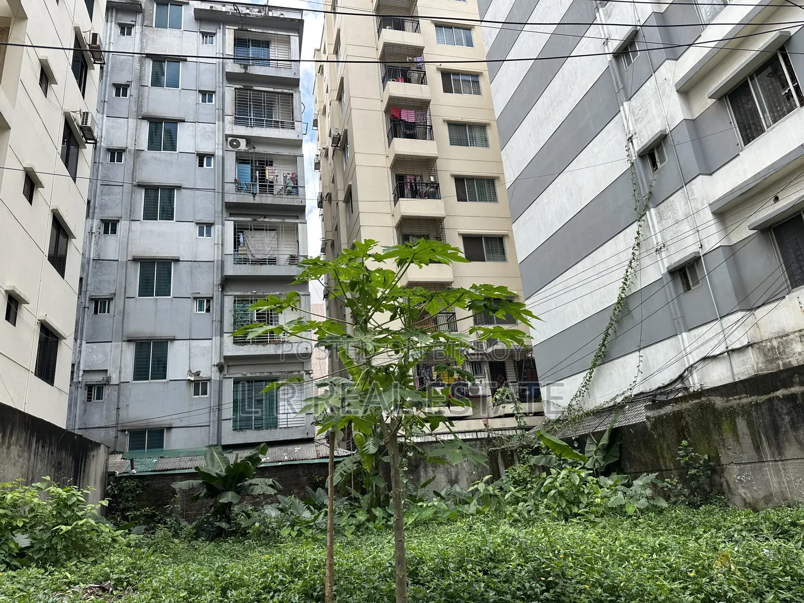 Block-G,3-Katha,South-Face, Bashundhara R/A, in Basundhara