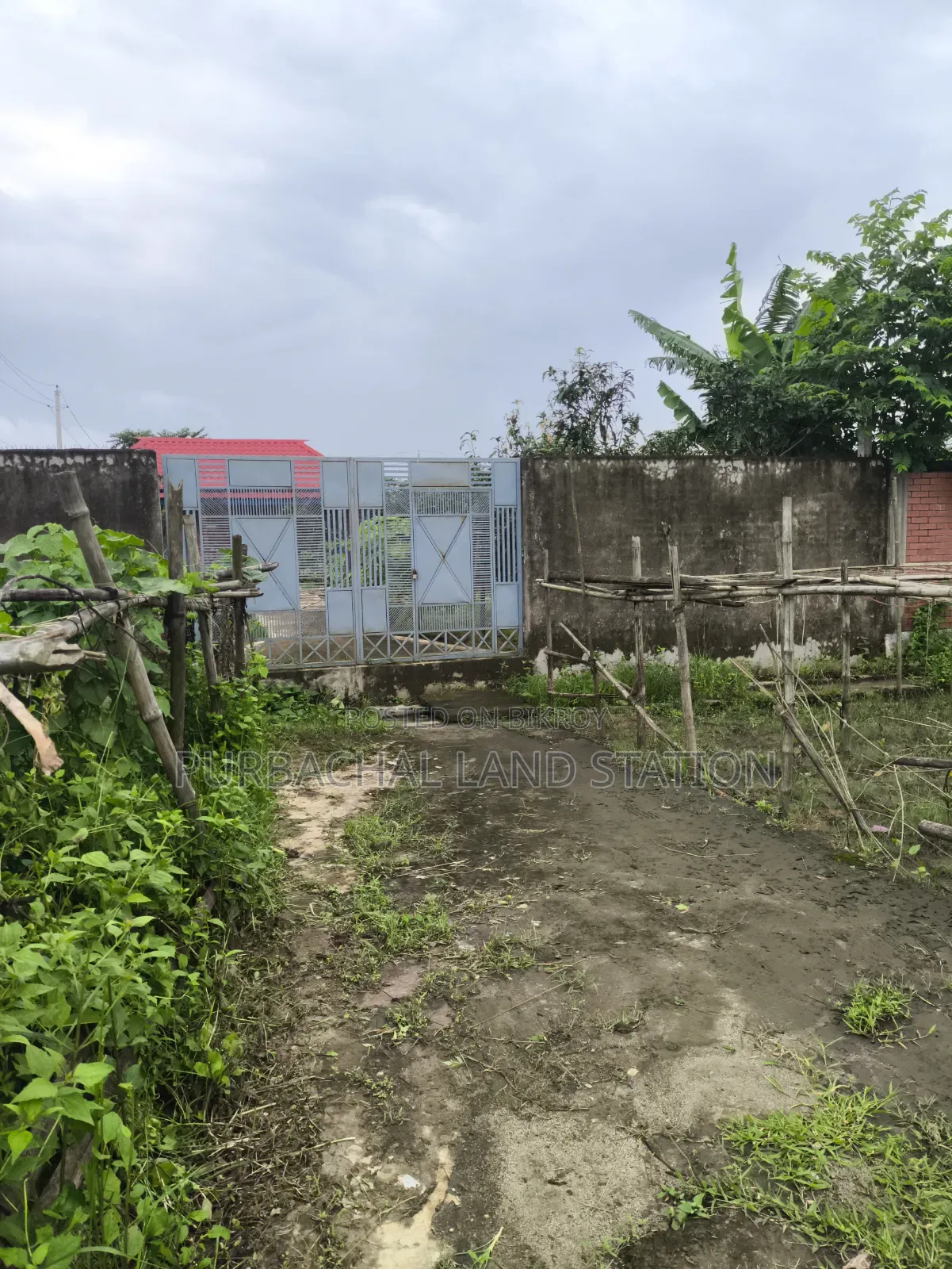 Sector: 15, South Face 5 Katha Plot Urgent Sale in Purbachal in Purbachal