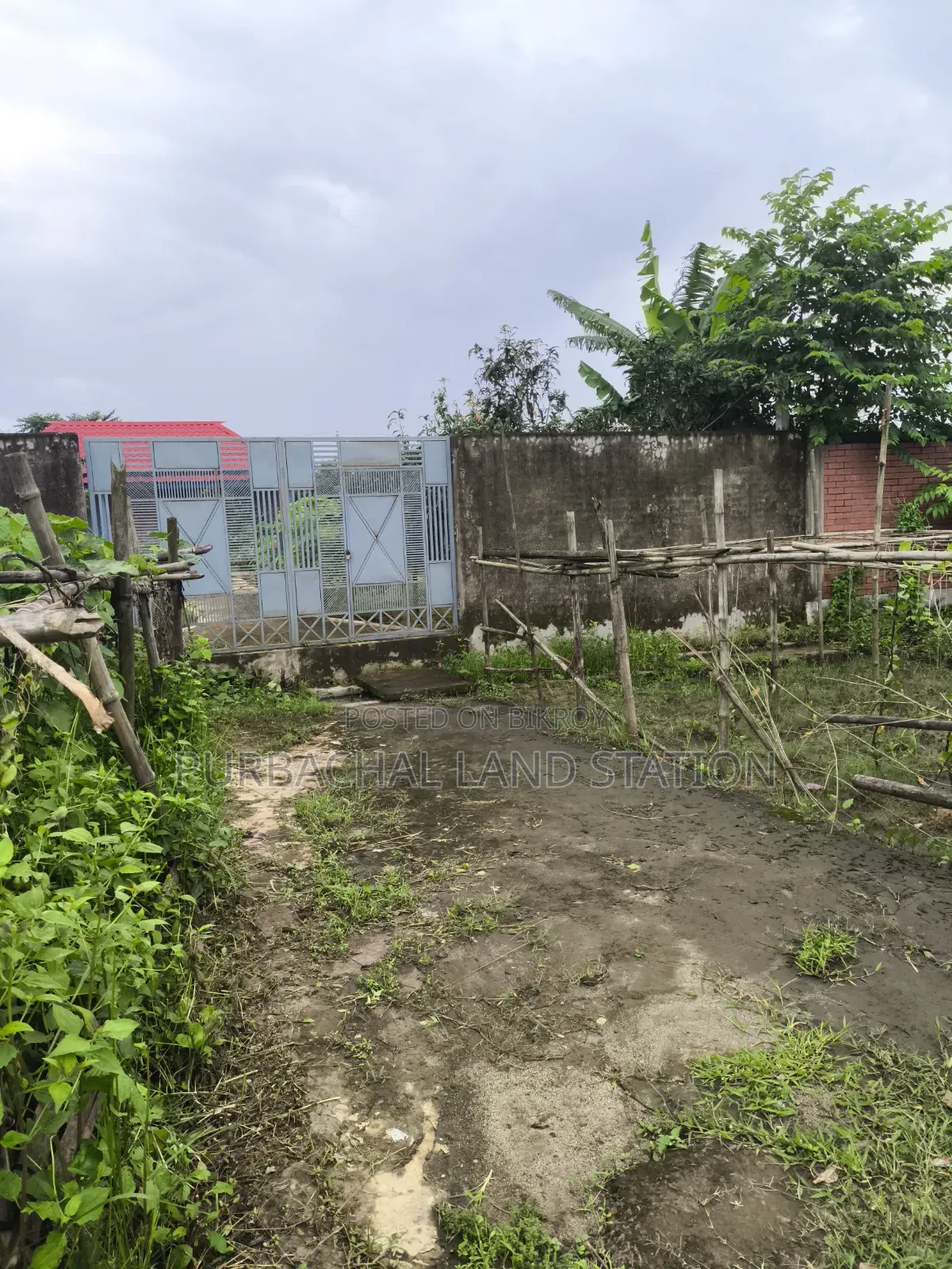 Sector: 15, South Face 5 Katha Plot Urgent Sale in Purbachal in Purbachal