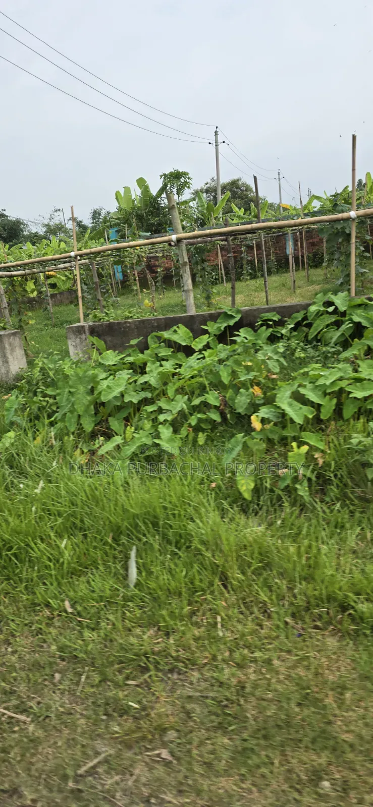 Rajuk Purbachal Sector-15 Government Service Plot Sell in Purbachal