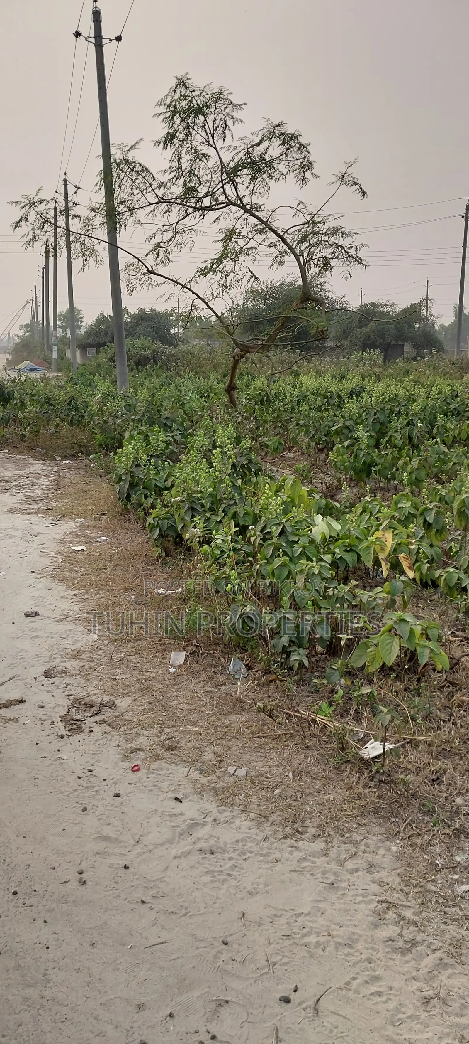 8.5 Katha Land Sale Purbachal Govt. Project Diplomatic Sector-27 in Purbachal