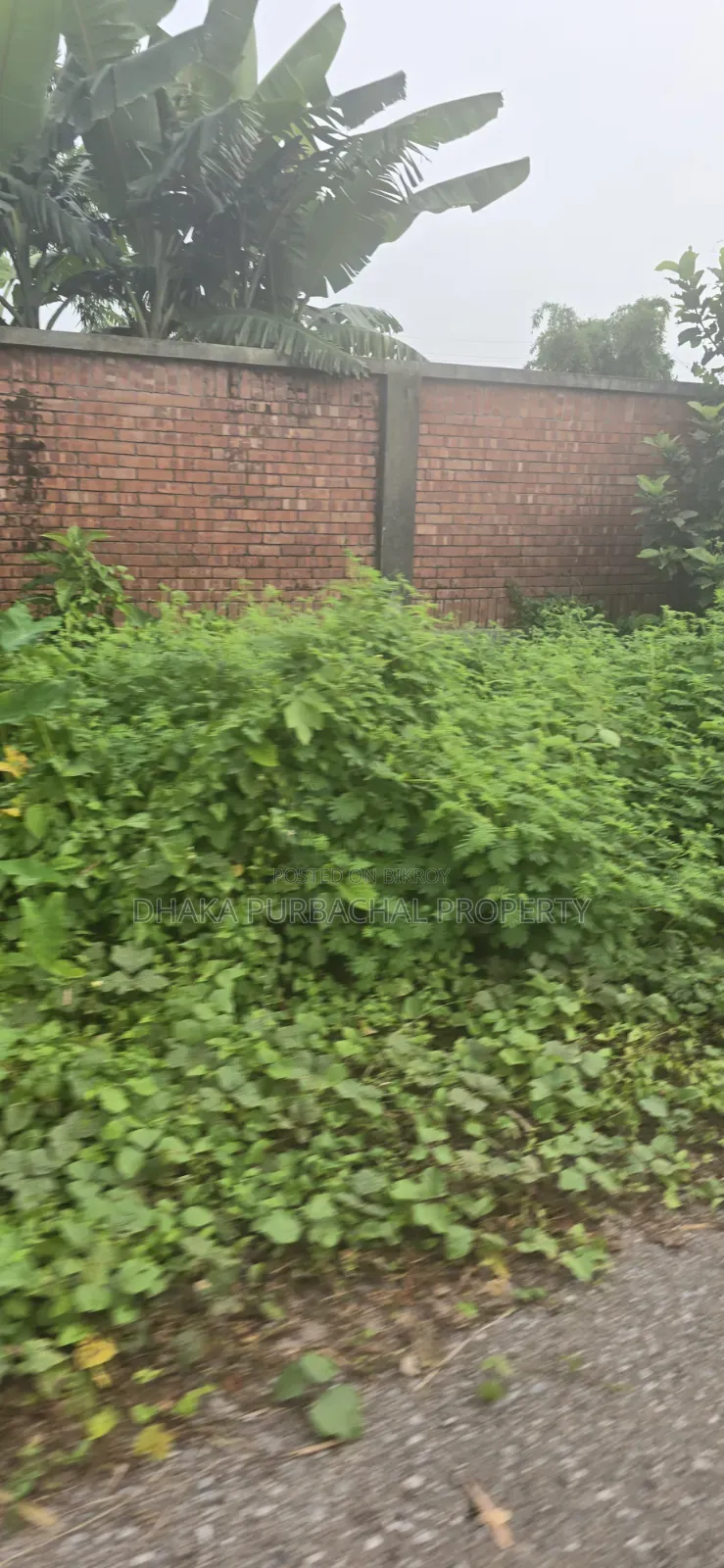 Rajuk Purbachal Sector-11, Government Employee Category, South-Facing Plot in Purbachal