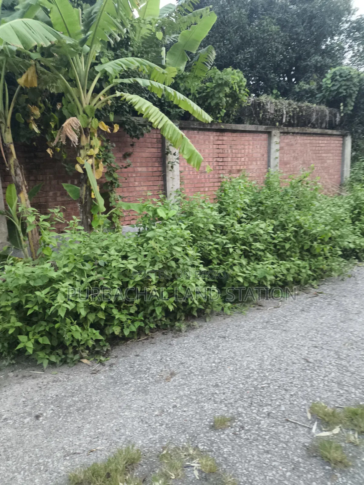 Sector: 23, Exclusive South Face 5 Katha Plot for Sale in Purbachal in Purbachal