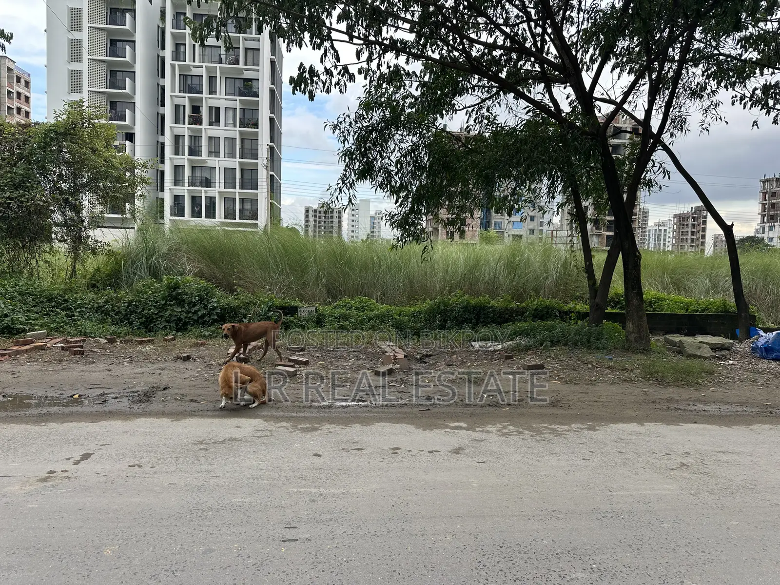 M Block, 4 Katha, Front 40 Feet Wide Road, Bashundhara R/A in Basundhara