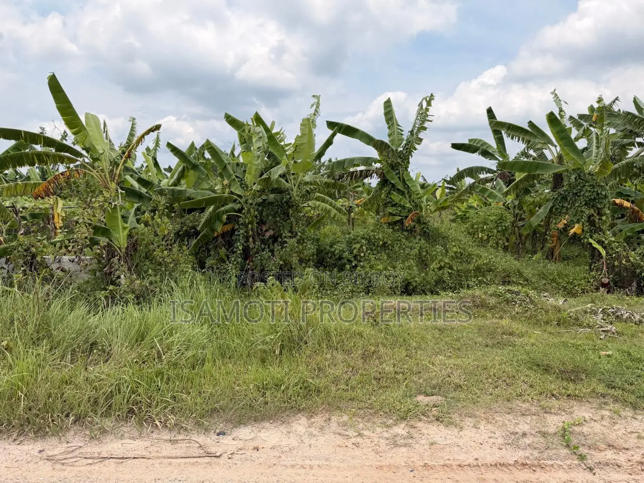 75 Feet Wide Road 3 Katha Plot for Sale Purbachal Sec 28 in Purbachal