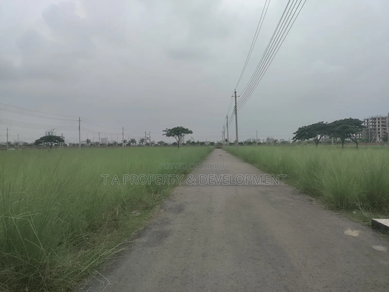 Plot Sell 3 Katha South Facing M Block in Basundhara