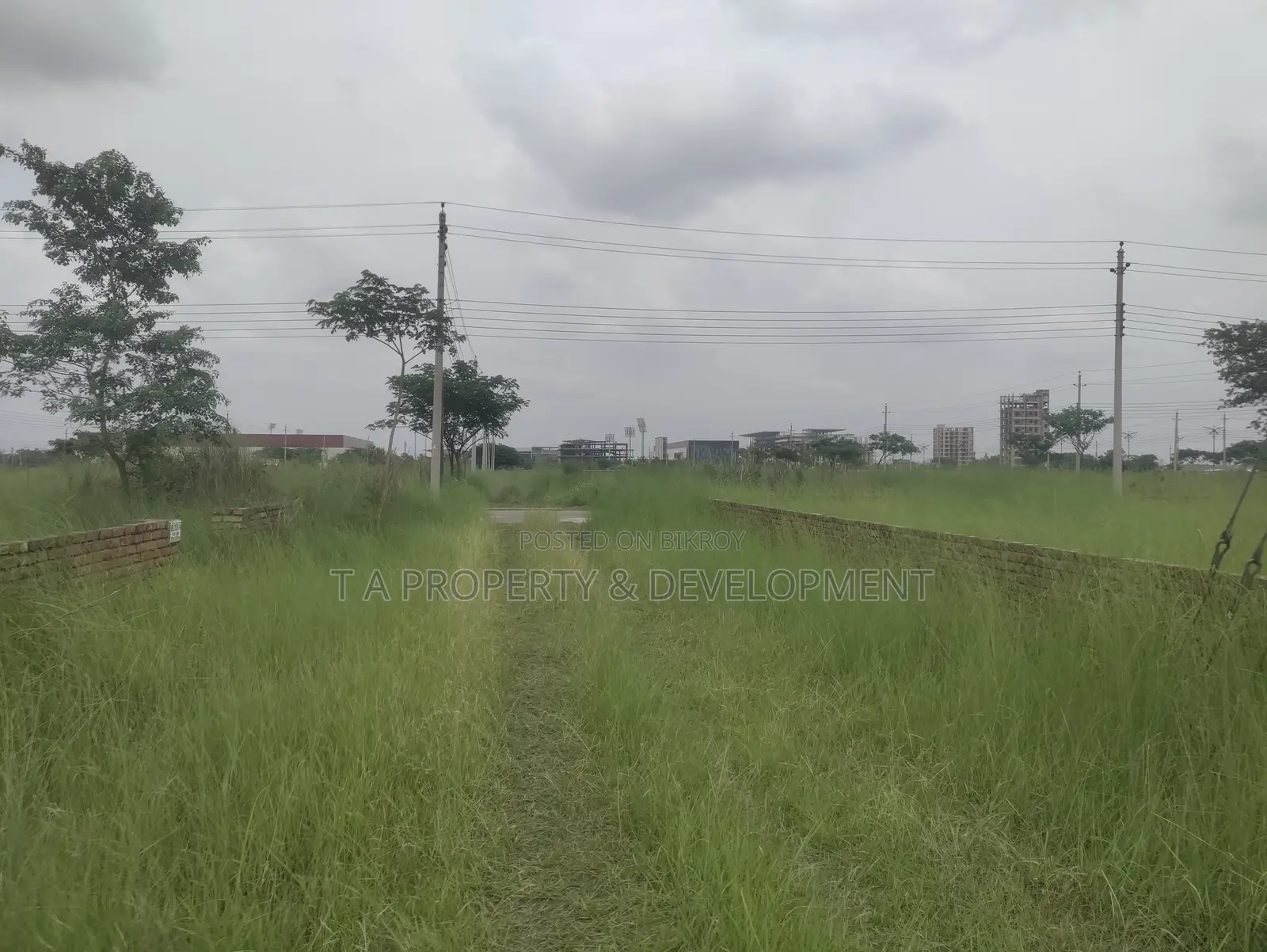Plot Sell 3 Katha South Facing M Block in Basundhara