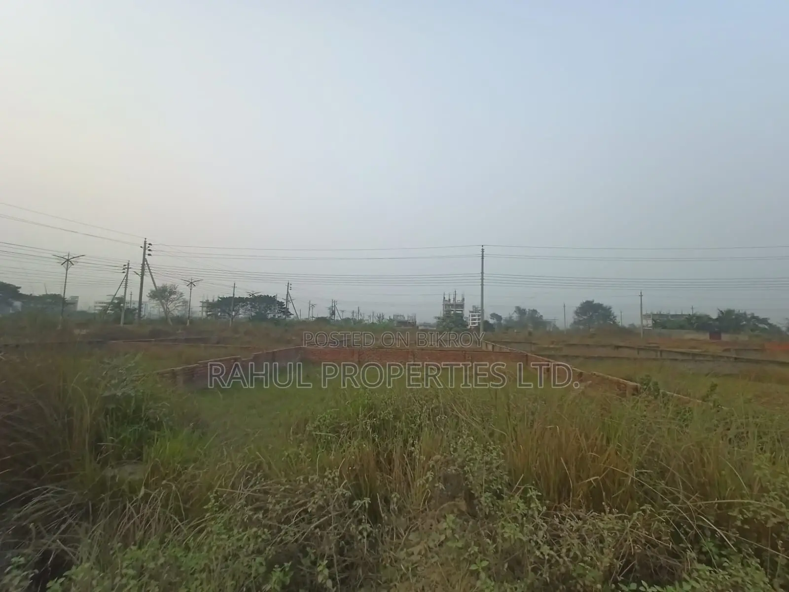 P Block { 3 Katha } Land Sale Bashundhara R/A, in Basundhara