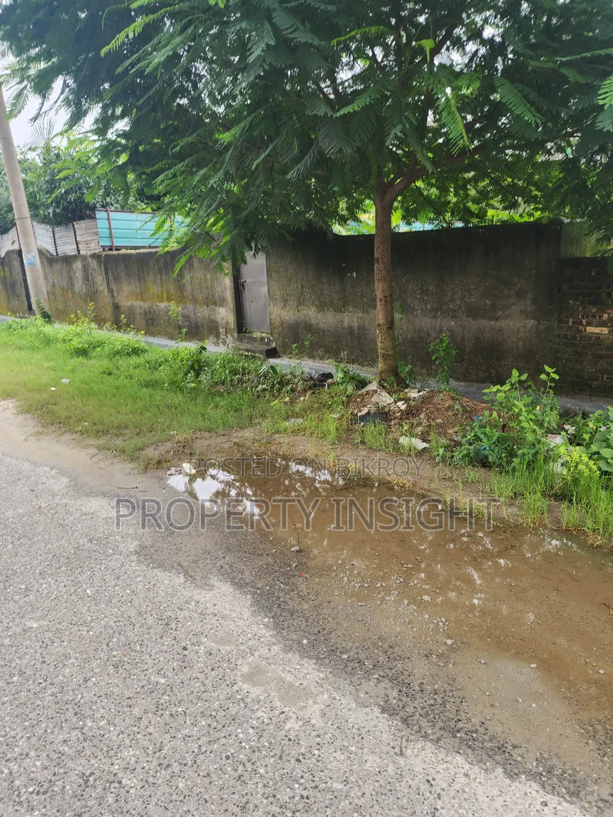 Green View Corner 5.5 Katha Sector 26 in Purbachal