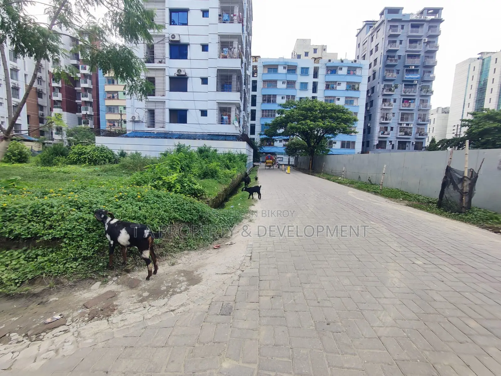 N Block Plot Sell 24 Katha, 2 Side Road in Basundhara
