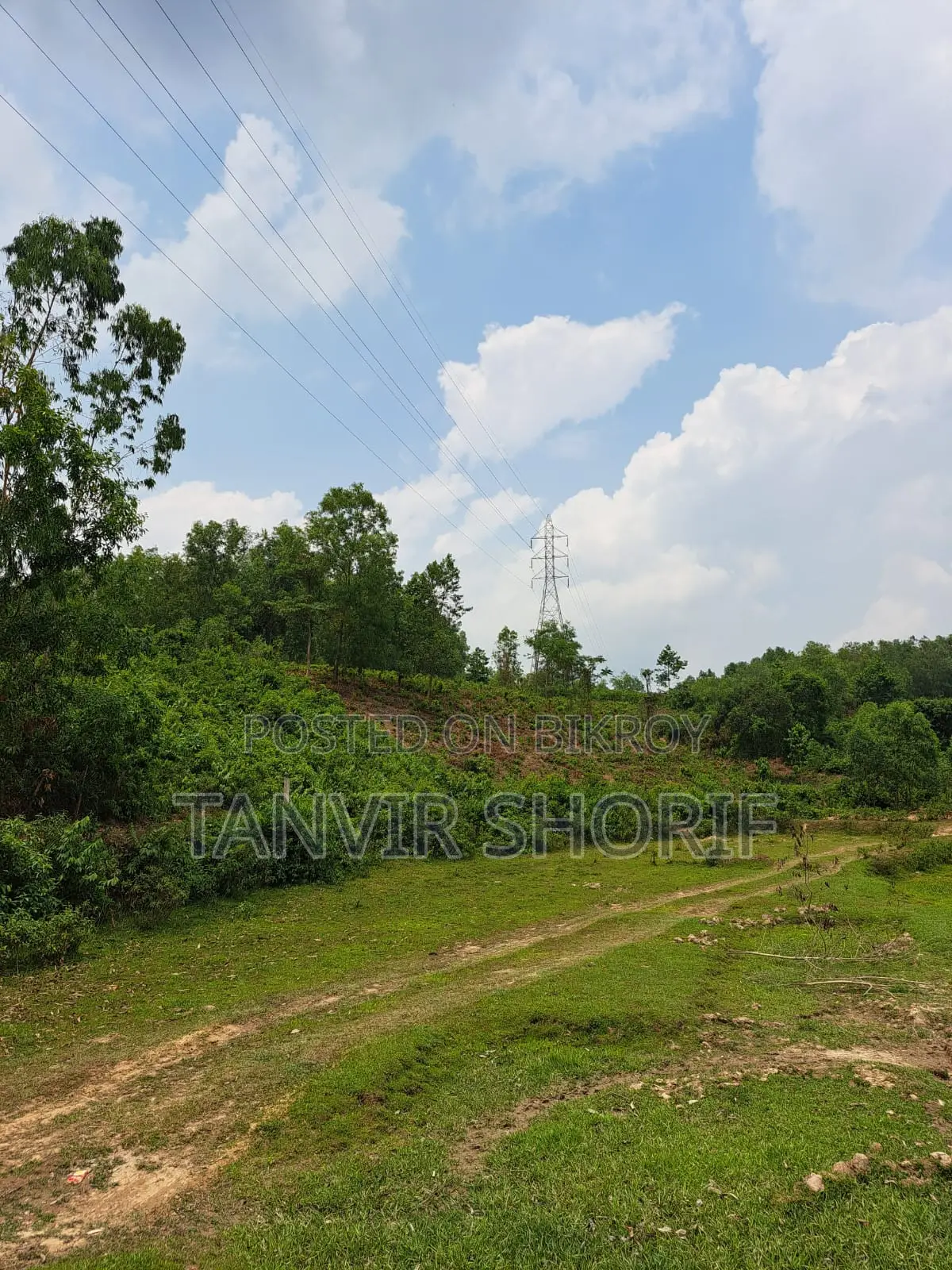 Urgent Sale of 40 Bighas of Tila Land – Maulvibazar Sadar, Sylhet in Maulvi Bazar