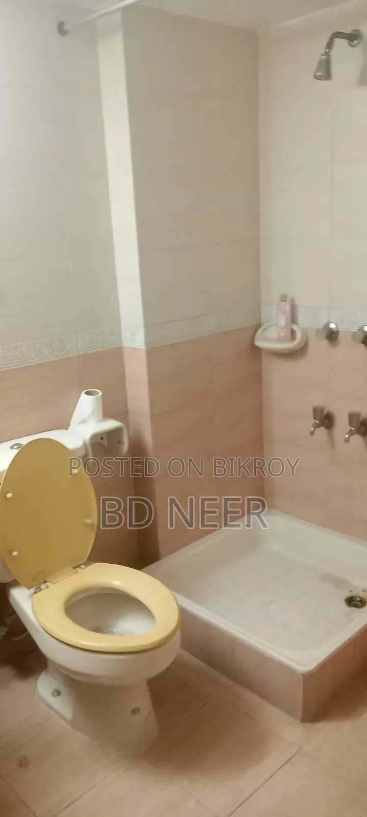 3-Bedroom Apartment in Banani for Rent in Banani