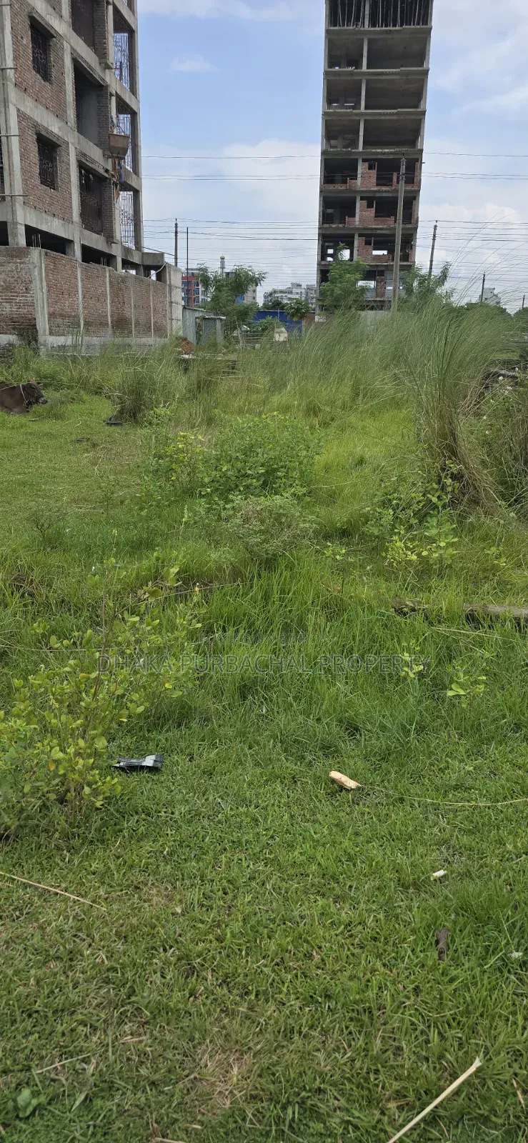 Purbachal 3 Katha Plot Sell in Purbachal